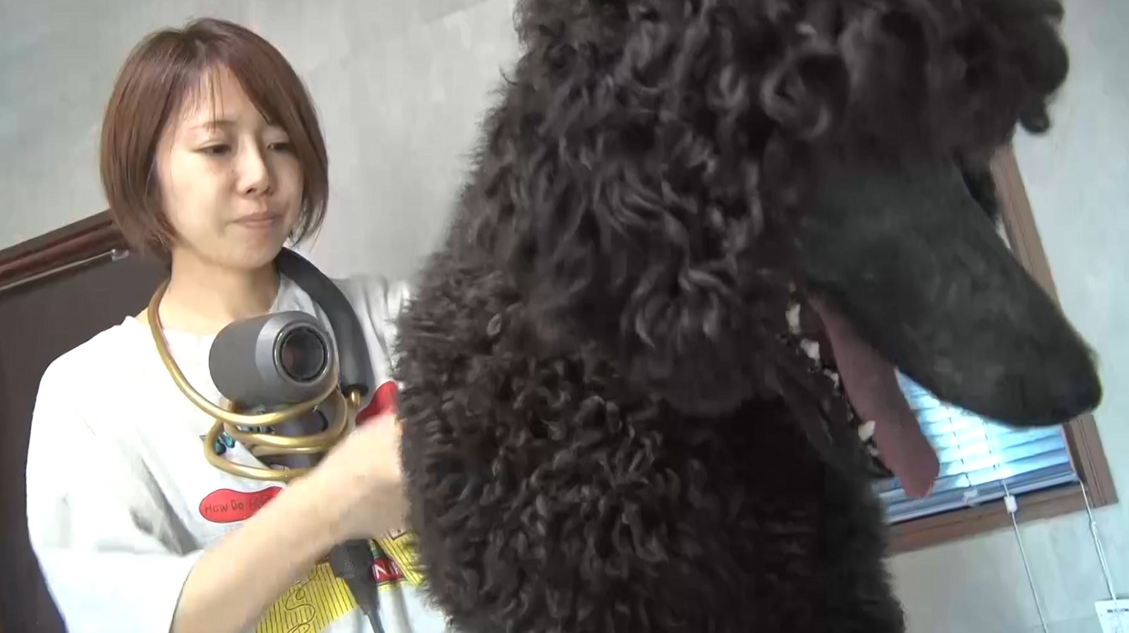 あいるん（提供写真）