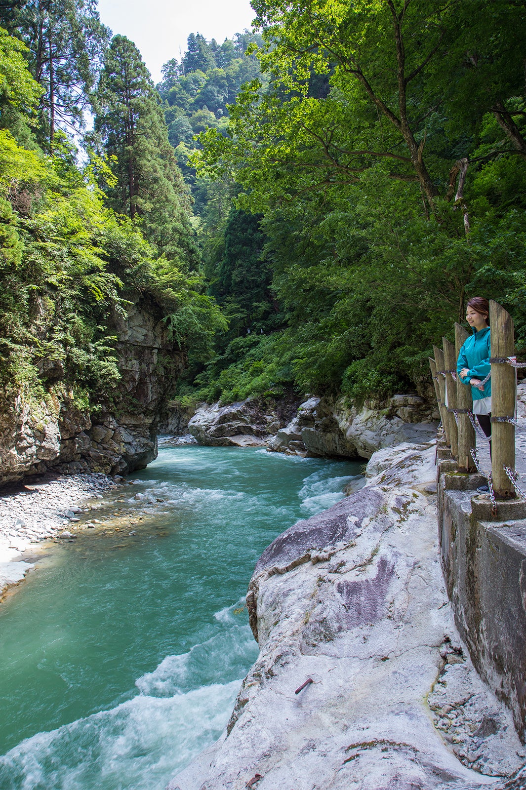 画像提供：富山県観光・交通・地域振興局　観光振興室