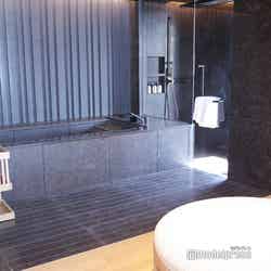 フォーシーズンズホテル大阪(C)モデルプレス