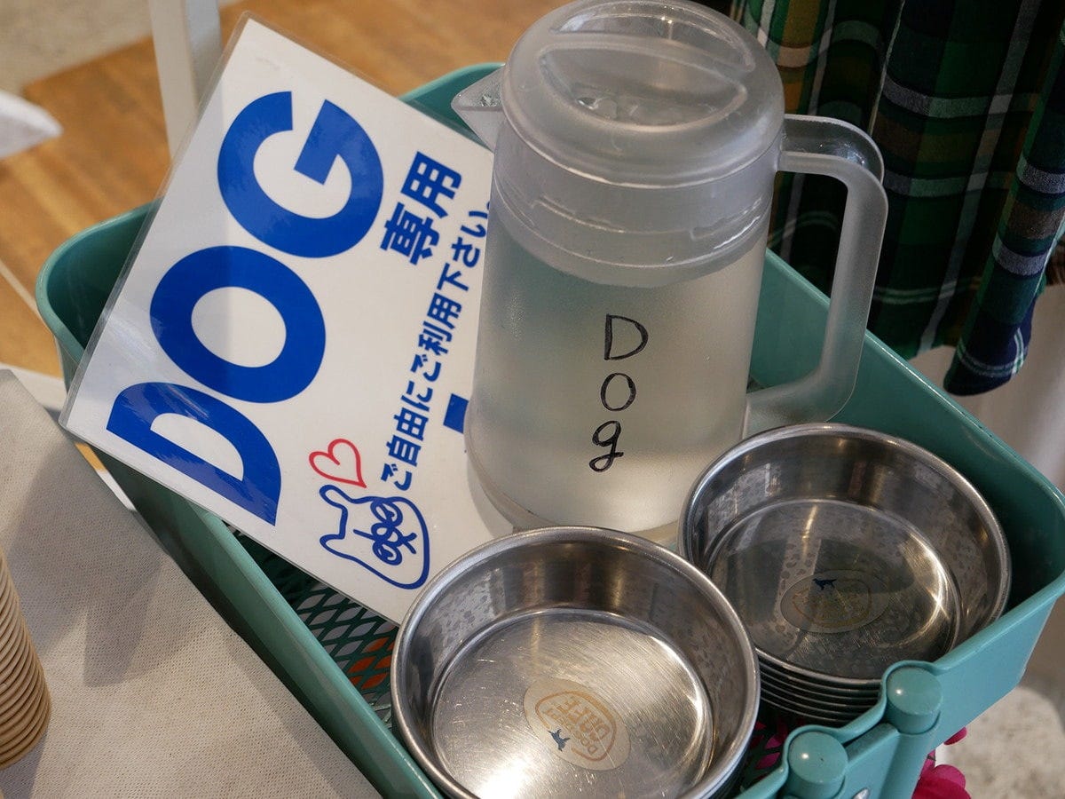 DOG専用のお水とお皿も完備