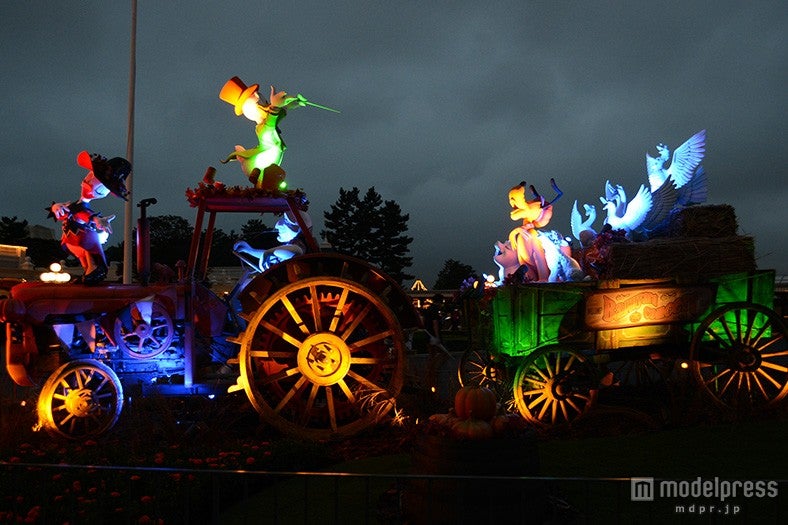 ライトアップで幻想的な光に包まれる