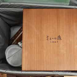 ミューの森(C)モデルプレス