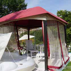 芝生のピクニックエリア/画像提供:ハウステンボス