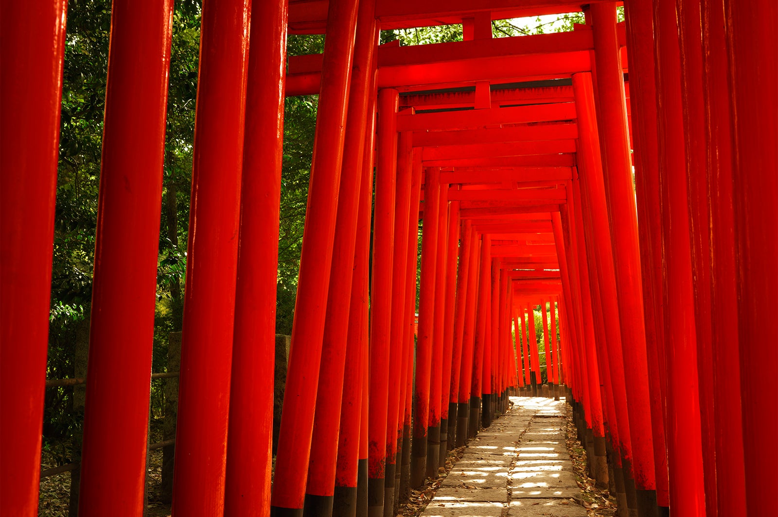 根津神社／画像提供：東京地下鉄