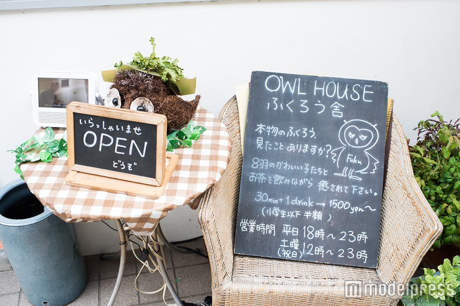 「Cafe HOOT HOOT」（C）モデルプレス