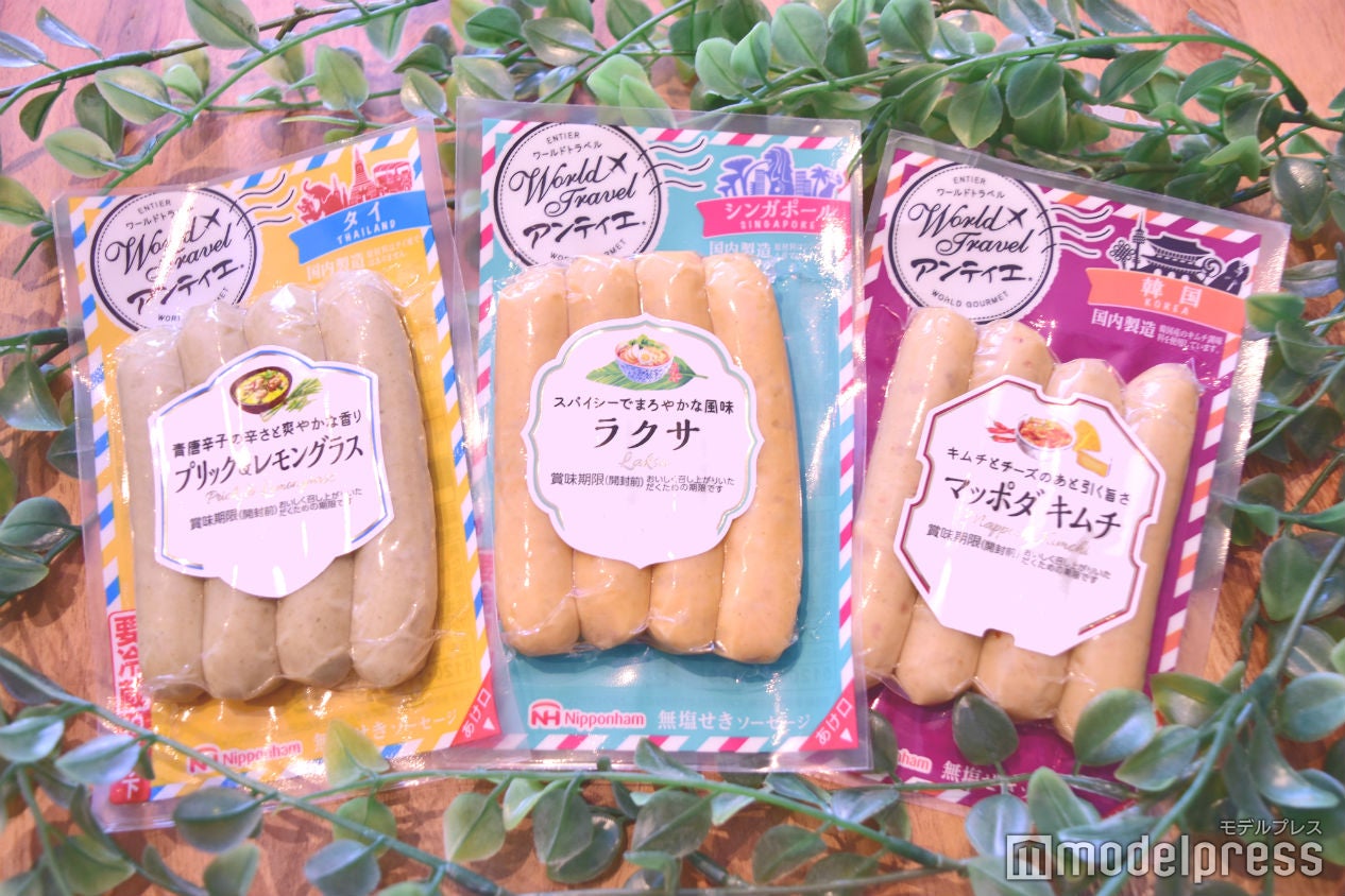 「World Travel アンティエ」公式サイト