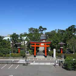 東伏見稲荷神社(提供画像)