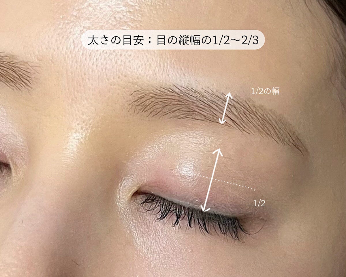 眉の太さの目安は目の縦幅の1/2〜2/3程度 眉の太さの目安は目の縦幅の1/2〜2/3程度