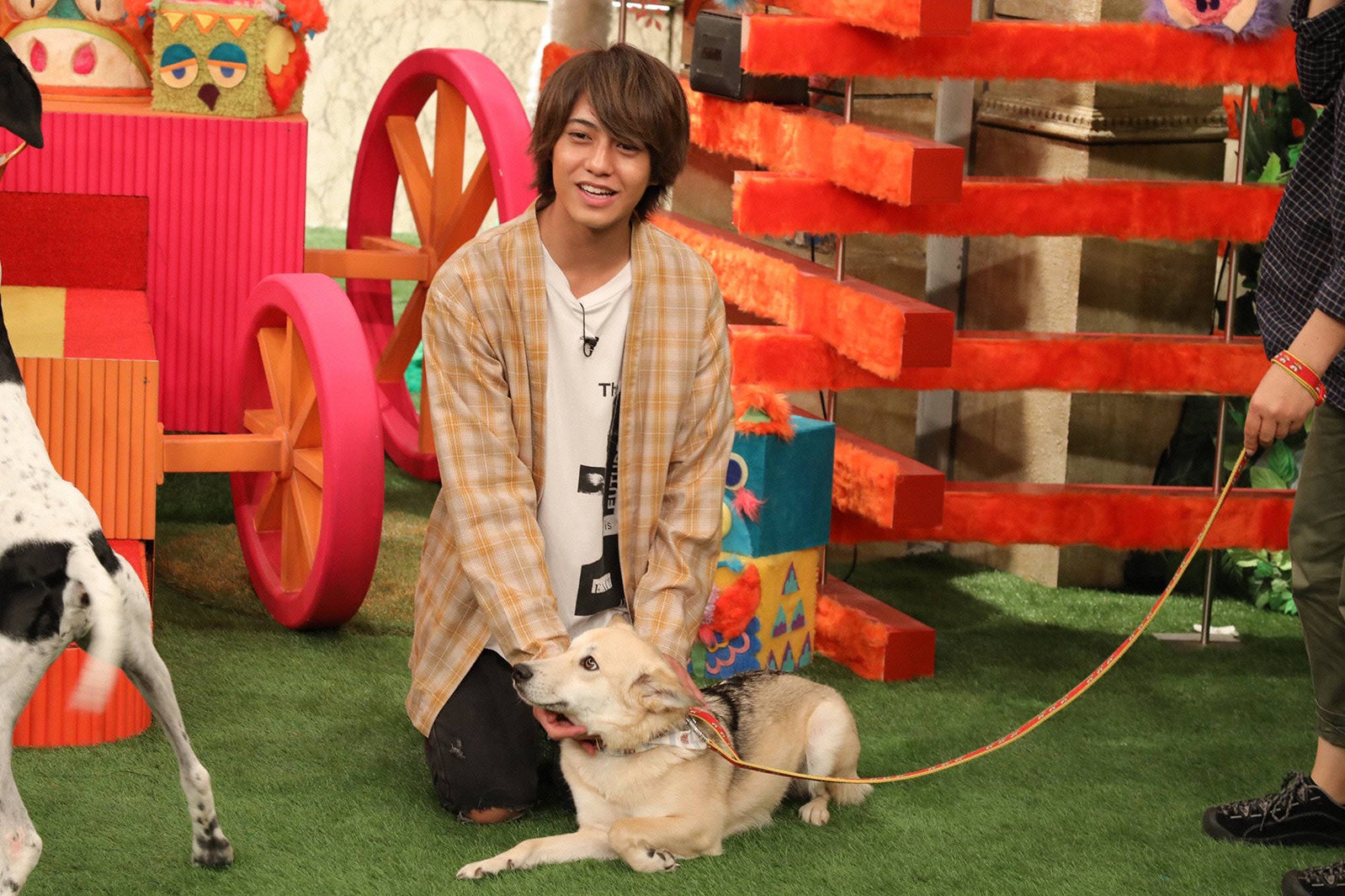 King ＆ Princeの高橋海人、里親探しに挑戦