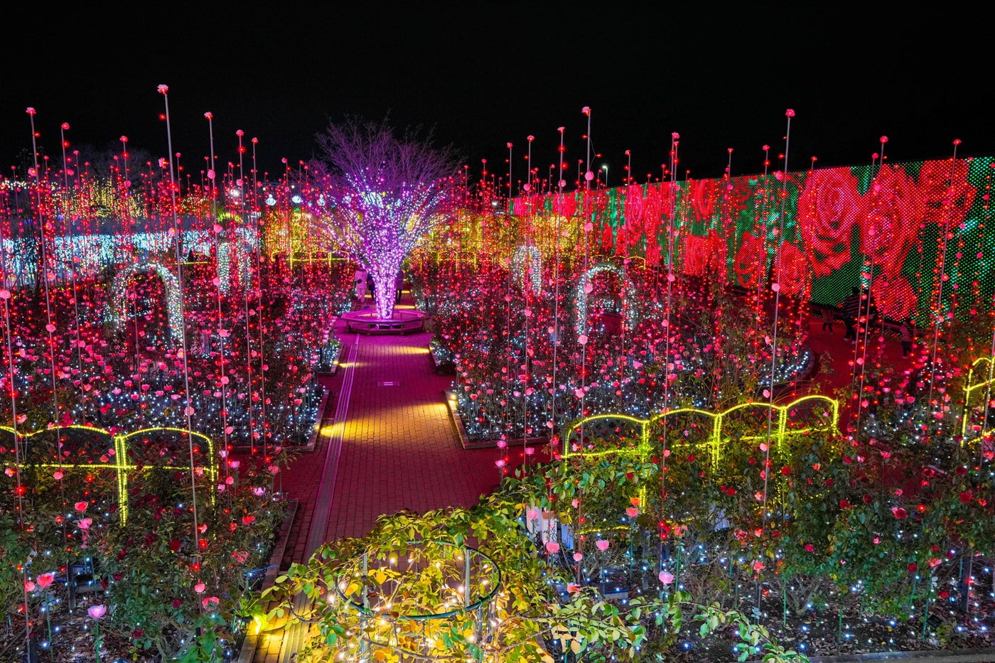 光の花の庭～Flower Fantasy（提供写真）
