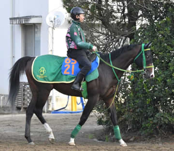 【阪急杯】アサカラキング 三度目の正直だ 前走ブリンカーで変身、2年連続「銀」返上 陣営「ここでタイトルを」