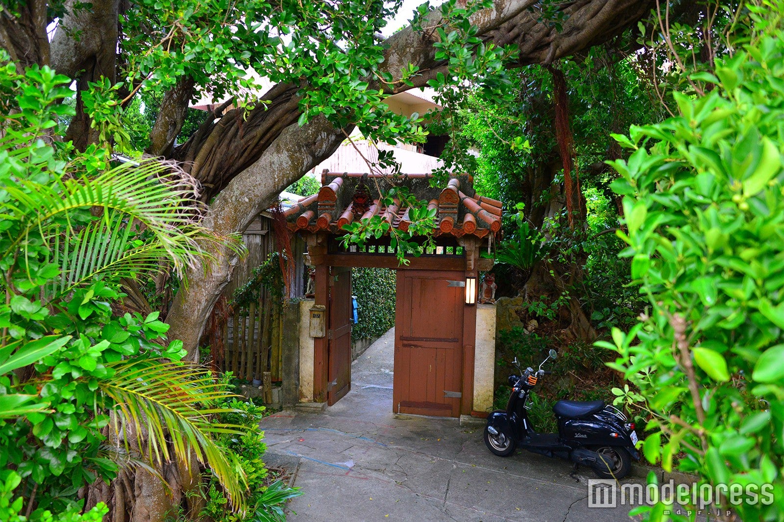 城間びんがた工房（C）モデルプレス