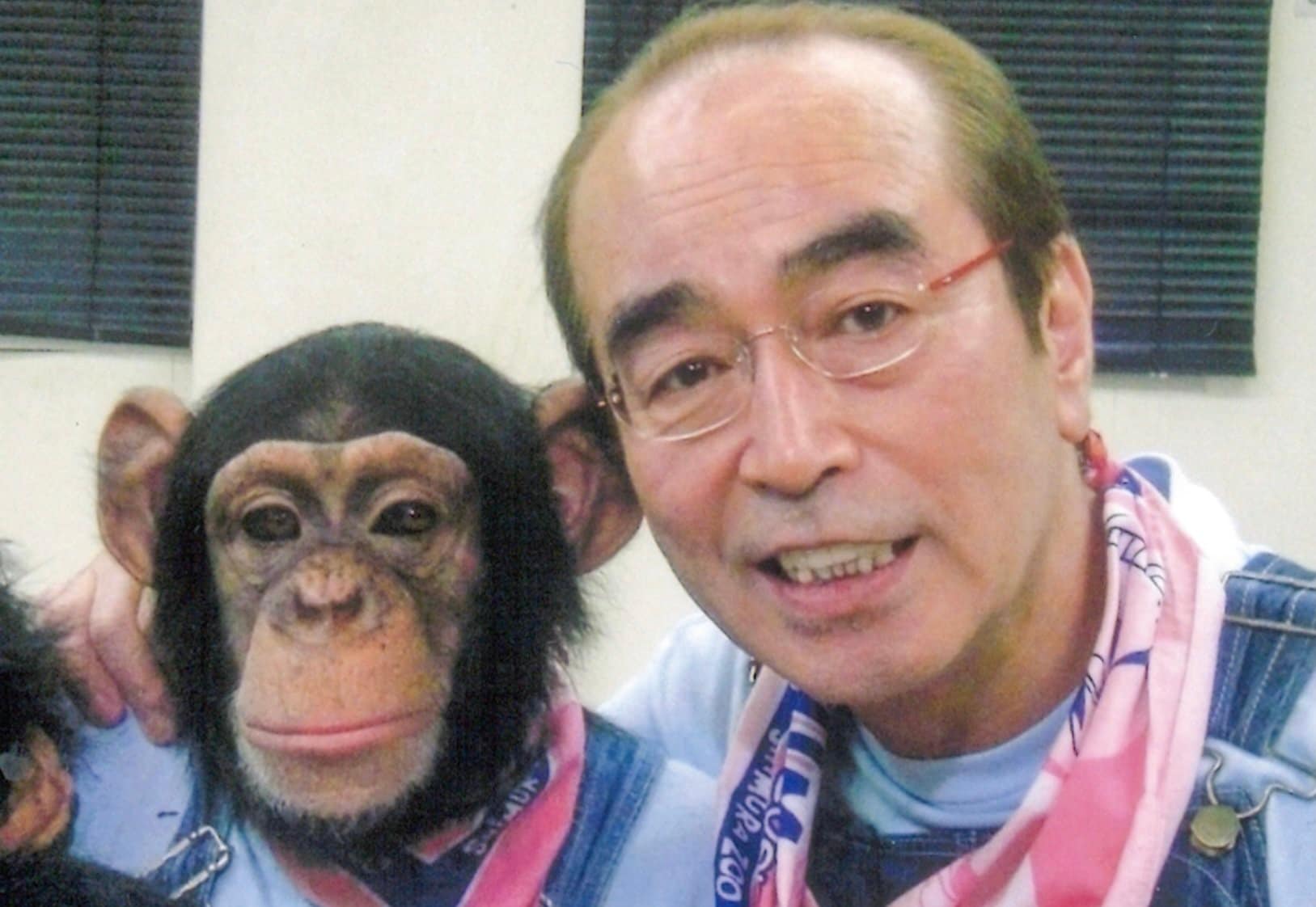 天才チンパンジー「パンくん」に娘？ 10年ぶりの家族再会で“トラブル”発生の瞬間