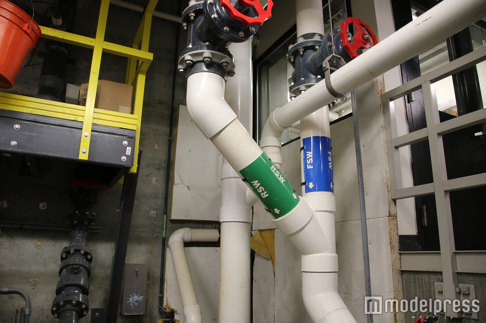 「モントレーベイ水族館」（C）モデルプレス