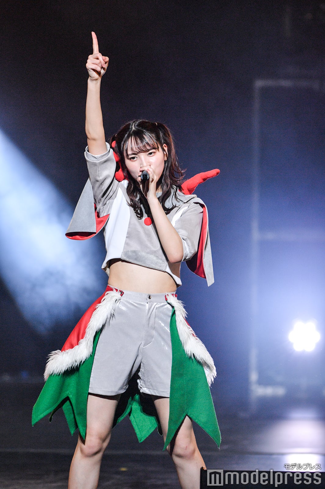 豆柴の大群（C）モデルプレス