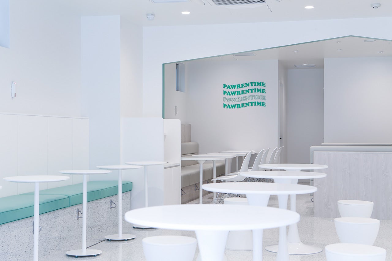 Dog Cafe Pawrentime（提供画像）