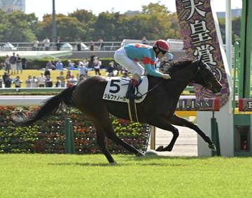 【新馬戦】ジルファノーガ 直線一気3馬身半差V ルメール「真面目で乗りやすい。瞬発力もある」