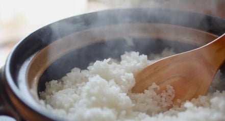 ロマ（提供写真）