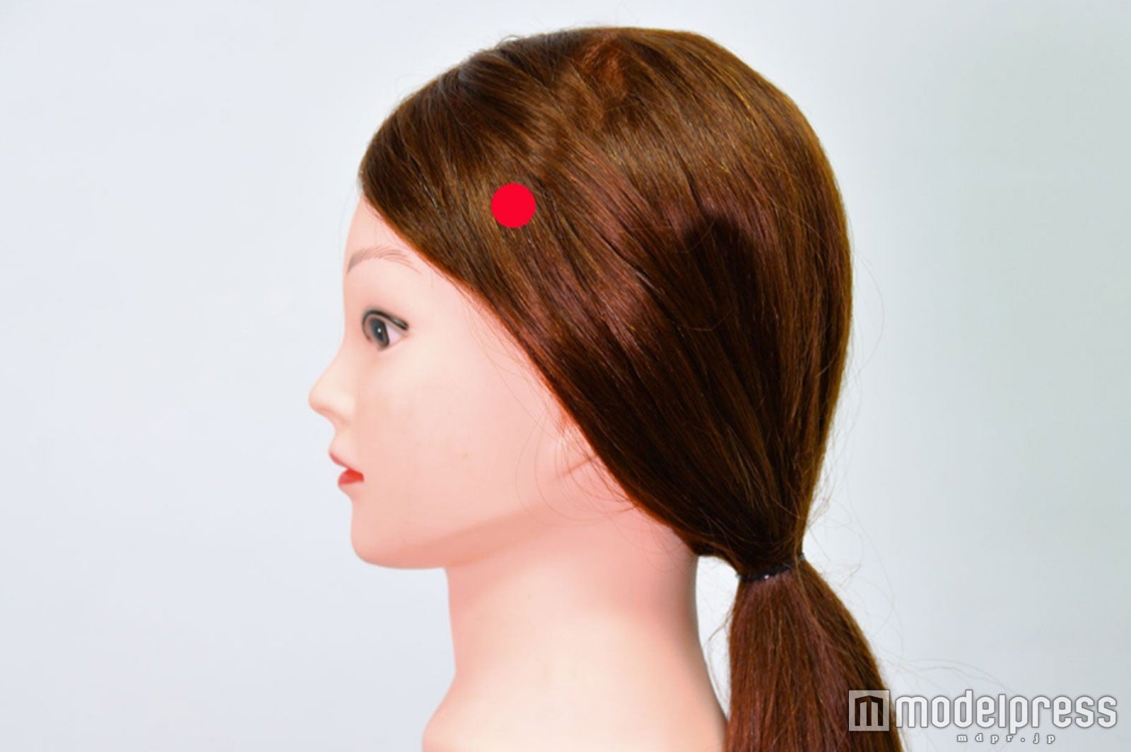 耳上から握りこぶし1個分上の1cm後ろ（C）モデルプレス