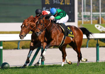 【すみれS】ラージアンサンブル OP初V決めた 岩田望「少しずつ力をつけている」今後へ手応え