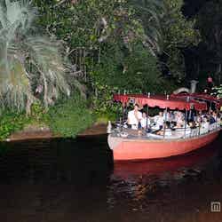 夜のジャングルを進むボート