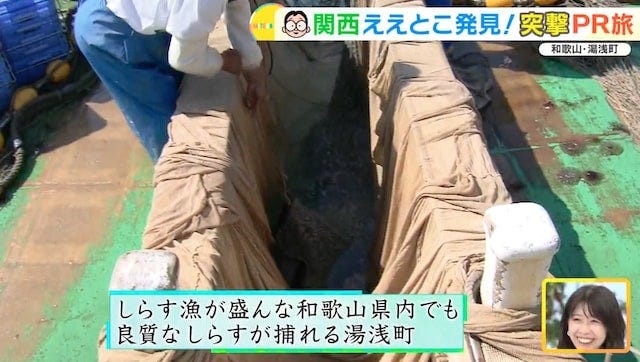 【和歌山】気になるグルメがいっぱい♡