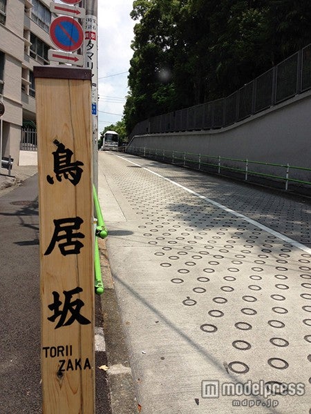 乃木坂46、新グループ発表 “坂道シリーズ”第2弾が決定