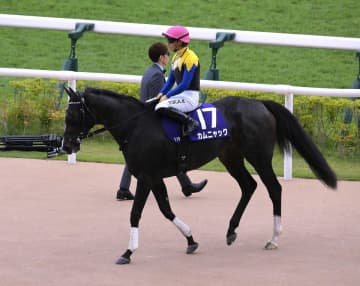 秋華賞で1番人気ながら16着に敗れたカムニャックは鞍上・川田で阪神牝馬Sへ向かう