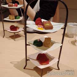 RETONA HAKONE(C)モデルプレス