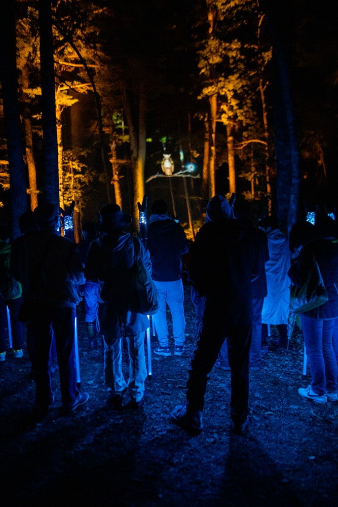 （C）MOMENT FACTORY