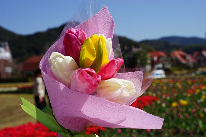 光のファンタジアシティ※イメージ／画像提供：ハウステンボス