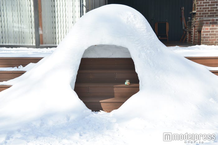 庭には至恩が作ったというかまくらもありました(C)モデルプレス