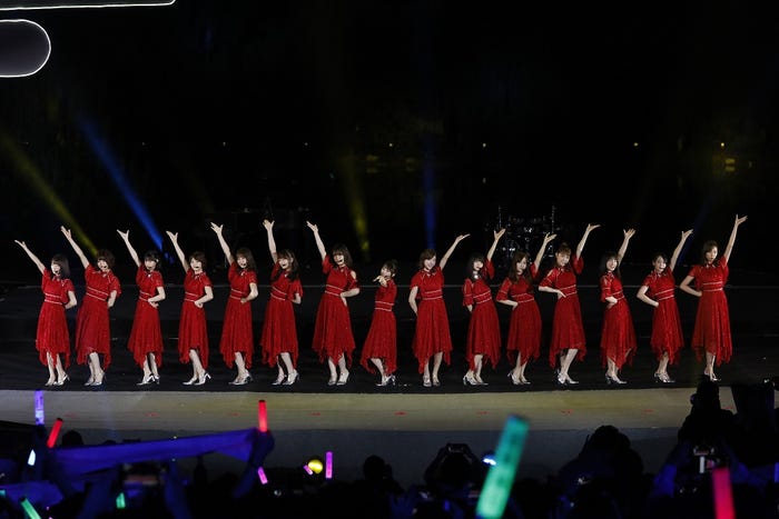 乃木坂46(提供写真)