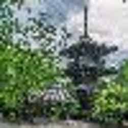 トリップアドバイザー提供