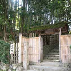 トリップアドバイザー提供