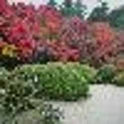 トリップアドバイザー提供