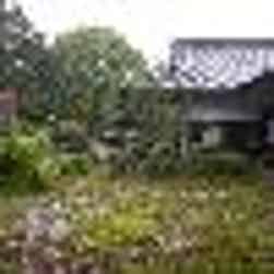 トリップアドバイザー提供