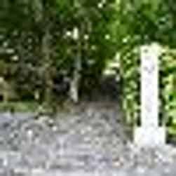 トリップアドバイザー提供