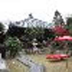 トリップアドバイザー提供