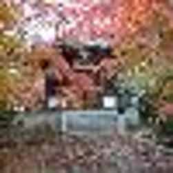 トリップアドバイザー提供