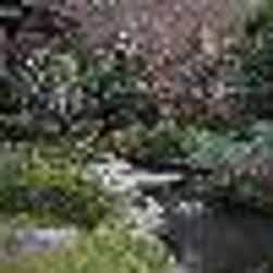 トリップアドバイザー提供