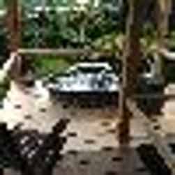 トリップアドバイザー提供