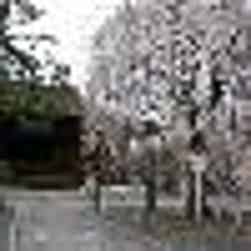 トリップアドバイザー提供