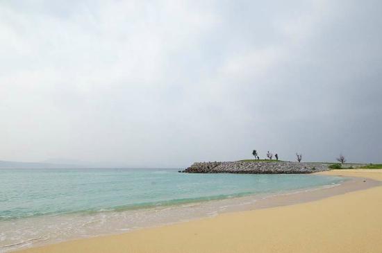 トリップアドバイザー提供