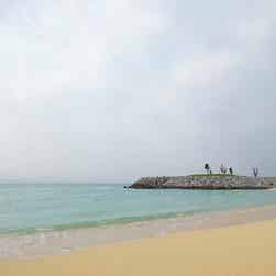 トリップアドバイザー提供