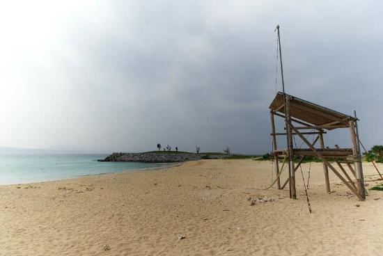 トリップアドバイザー提供