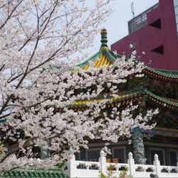 トリップアドバイザー提供