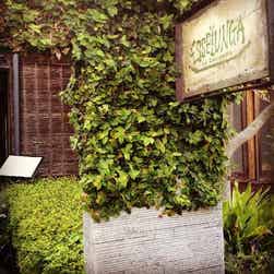 トリップアドバイザー提供