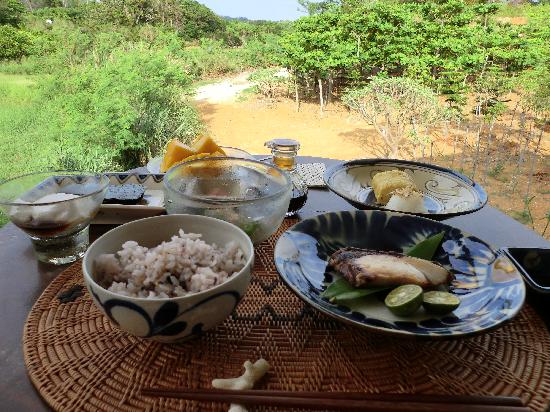 トリップアドバイザー提供