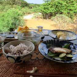 トリップアドバイザー提供